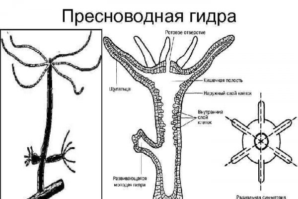 Кракен даркнет в тор